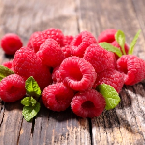 Удобрения и стимуляторы для плодово-ягодных