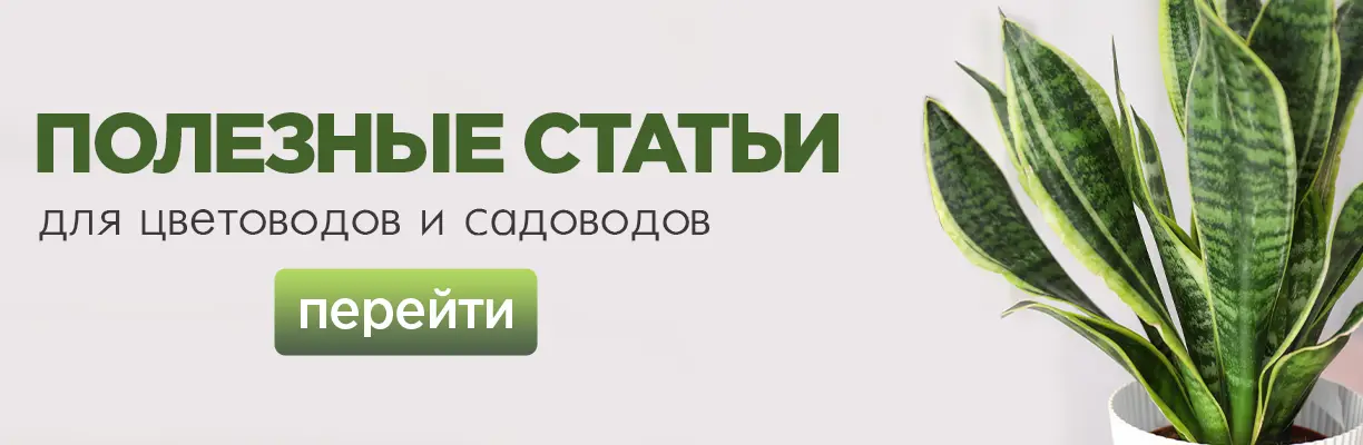 JOY для дома и сада